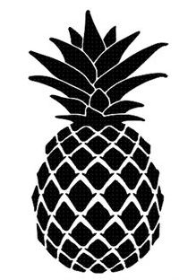 best pina11