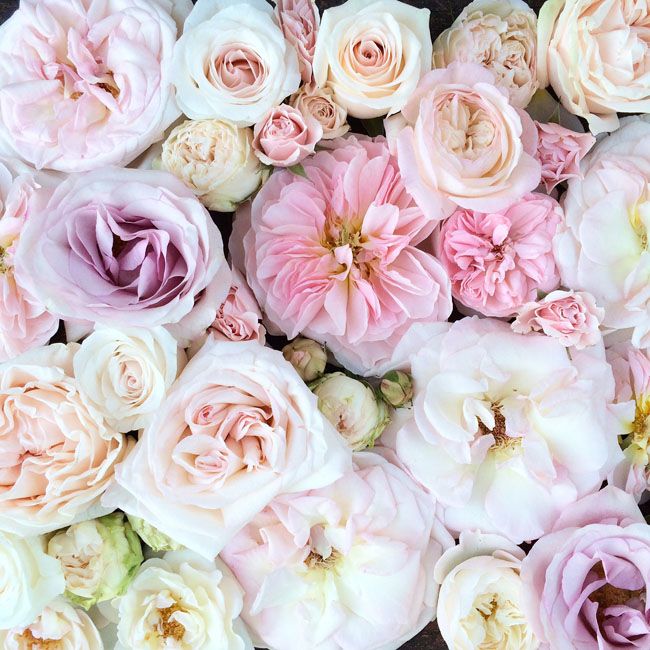 Valentine's Day Gift Guide
