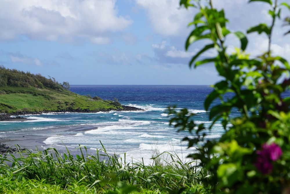 Kauai Guide
